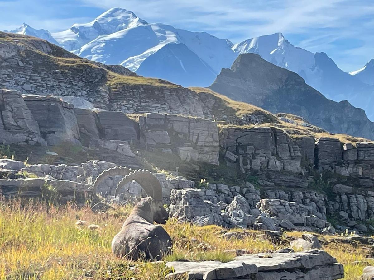 Residence Les Chardons Argentes Samoens Luaran gambar