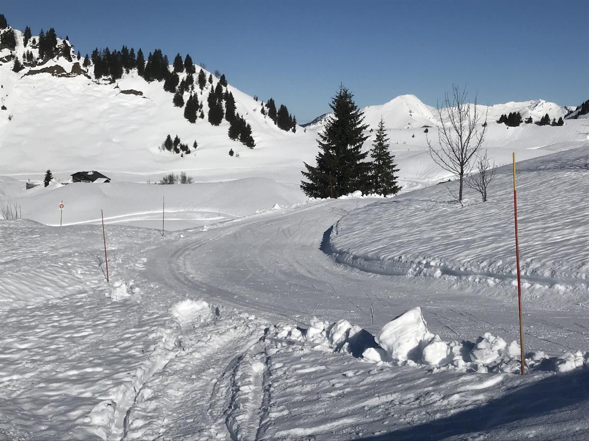 Residence Les Chardons Argentes Samoens Luaran gambar