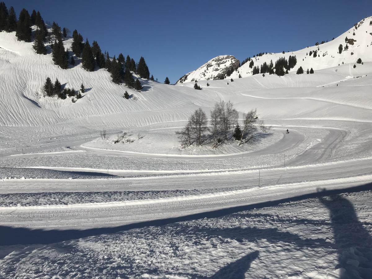 Residence Les Chardons Argentes Samoens Luaran gambar
